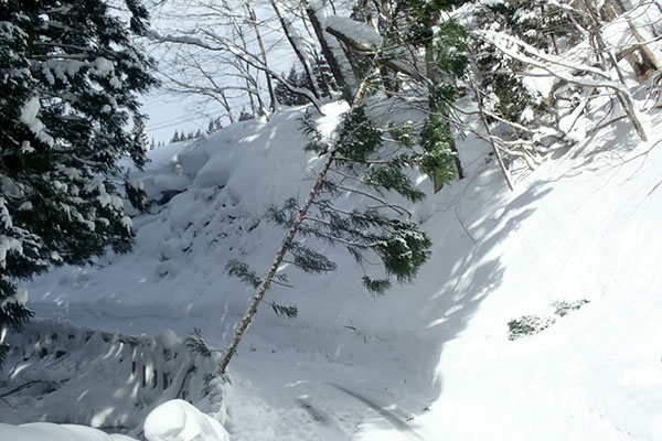 【秋田県大館市】令和8年1月豪雪　災害支援