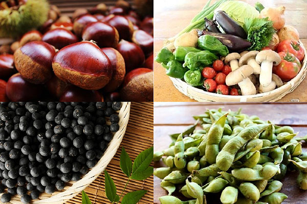 食の宝庫 京丹波町