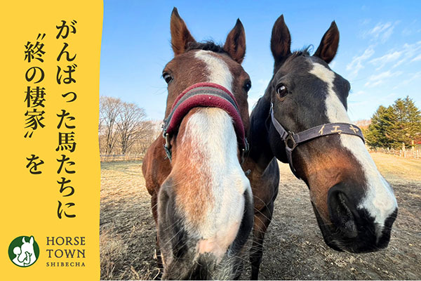 がんばった馬たちに、終の棲家を。“馬と共に暮らせる町…標茶”事業2026