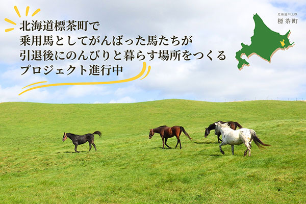 馬たちが引退後にのんびり暮らすプロジェクト