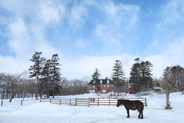 メジェールファーム