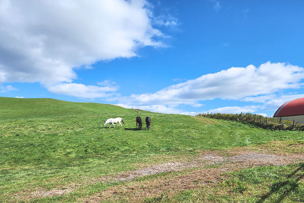 ジェットファーム