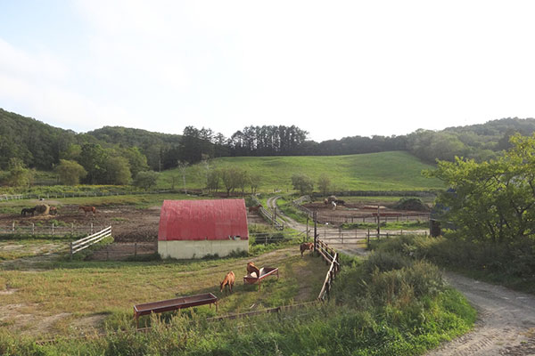 釧路セントラル牧場