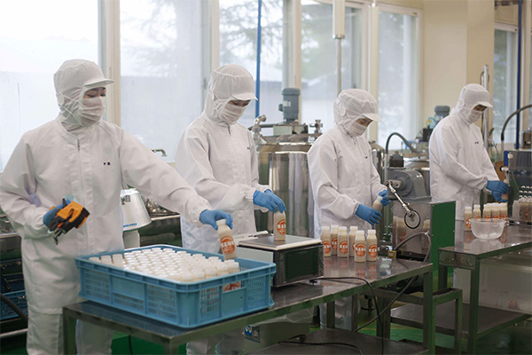 生徒たちの牛乳加工作業