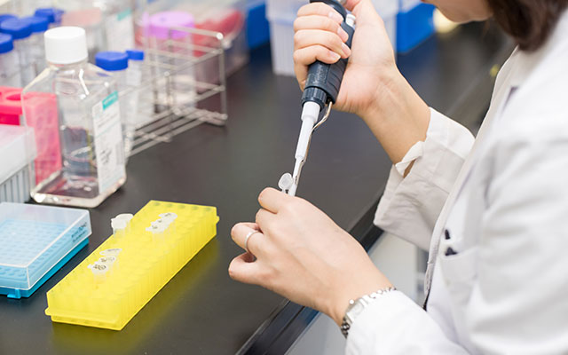 研究開発イメージ