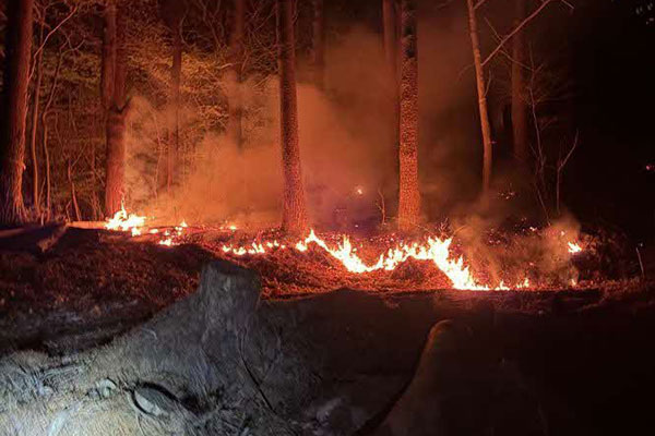 【岩手県大槌町】令和8年4月火災　災害支援（代理：岩手県花巻市）
