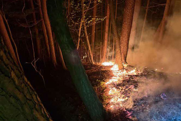 岩手県大槌町（代理：岩手県花巻市）①