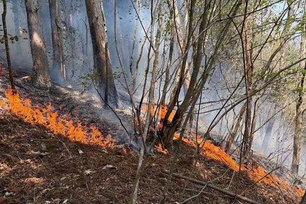 岩手県大槌町（代理：岩手県花巻市）②