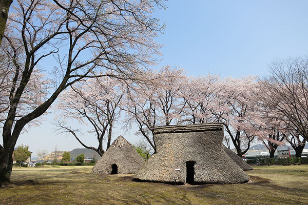 炉畑遺跡公園