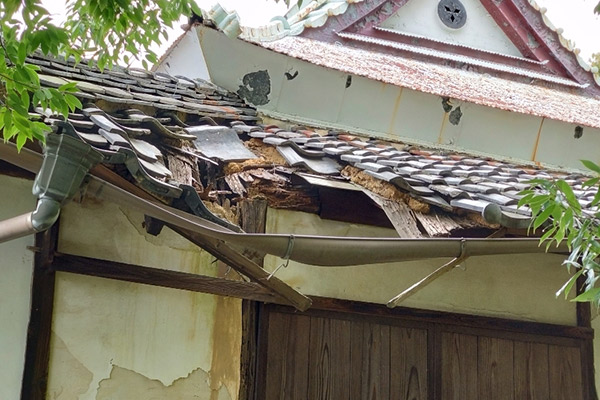 旧桜井家 南側の崩れた屋根