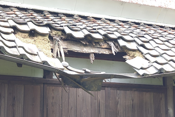 旧桜井家 東側の崩れた屋根