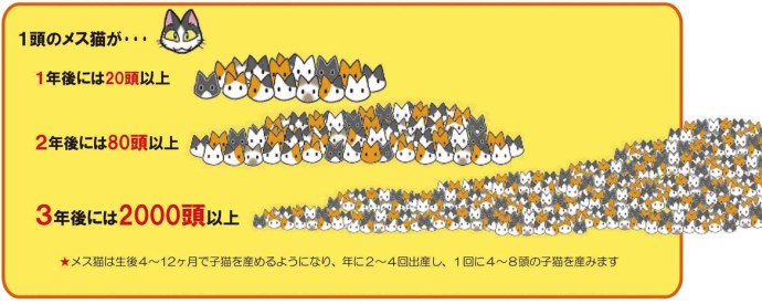 ネズミ算式