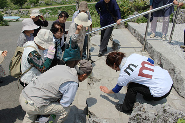 地域資源を活用した体験プログラム