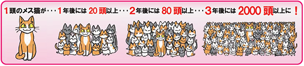 猫対策をしない場合、3年後には2,000頭以上に増える推移を示すイラスト