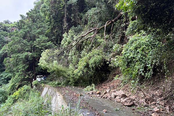 【福岡県みやま市】令和8年7月豪雨2