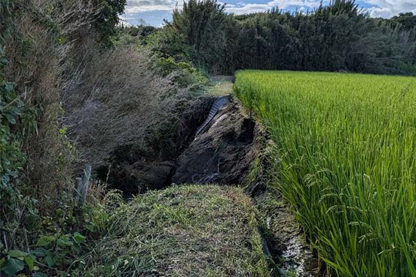【千葉県館山市】令和8年8月豪雨1