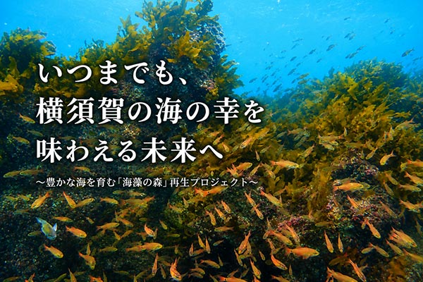 未来につなぐ、横須賀の海！