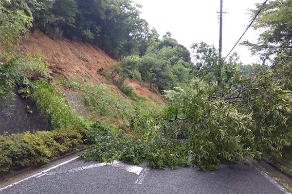 【千葉県千葉市】令和8年8月豪雨1