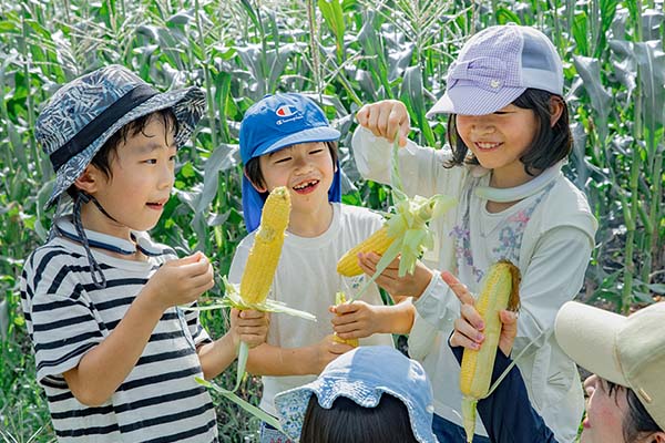 野菜の収穫体験