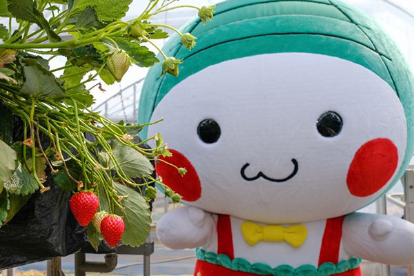 もおかぴょん2
