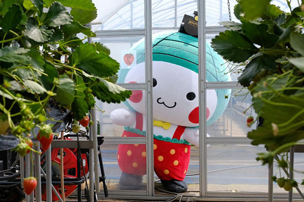 もおかぴょん1