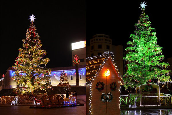 写真左：第9回（2008年）、写真右：第10回（2009年）