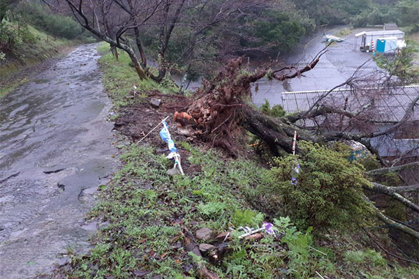 【宮崎県えびの市】令和4年9月台風14号・豪雨　災害支援