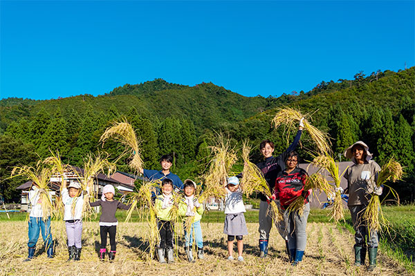 地域の子どもたちと南魚沼産コシヒカリの稲刈りの様子