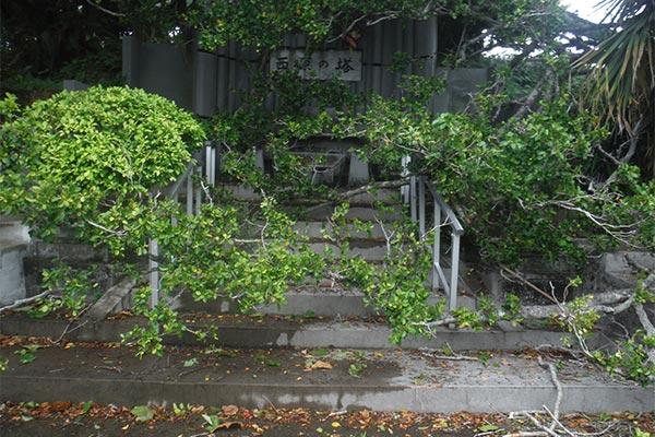 【沖縄県西原町】令和5年8月台風・豪雨　災害支援
