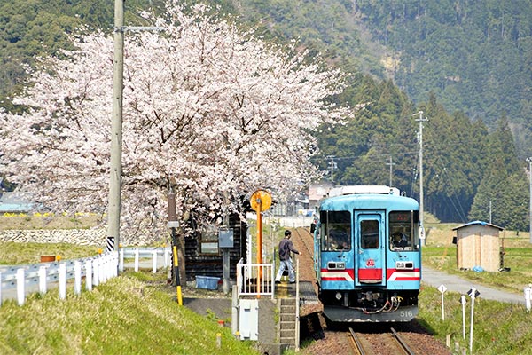「TARUTETSU樽見鉄道」応援プロジェクト！