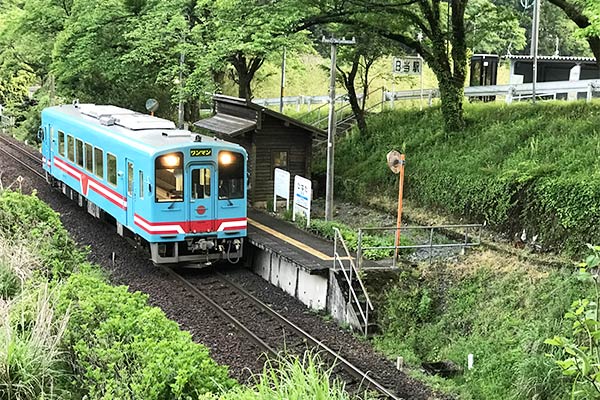 「TARUTETSU樽見鉄道」応援プロジェクト！