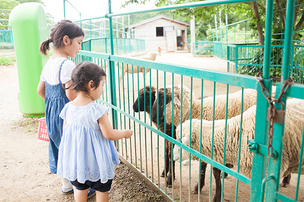 子どもたちと、どうぶつたちの笑顔あふれる動物園再生プロジェクト