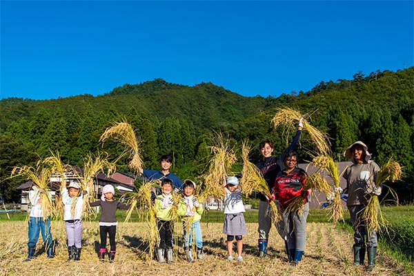 地域の子どもたちと南魚沼産コシヒカリの稲刈りの様子