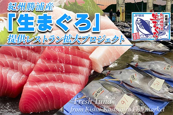 【和歌山県那智勝浦町＋有名シェフ】那智勝浦町が日本一の水揚げを誇る『一度も冷凍・解凍しない「無冷凍／生まぐろ」』の美味しさを、全国の皆さんに知っていただきたい。