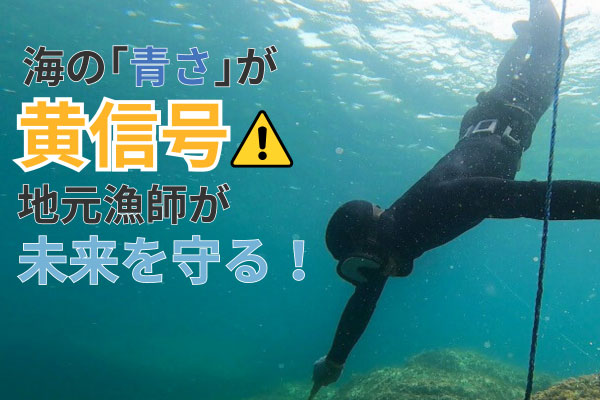 若狭の海の「青さ」を未来の子供たちに　地元漁師と海産資源の活用と保全プロジェクト