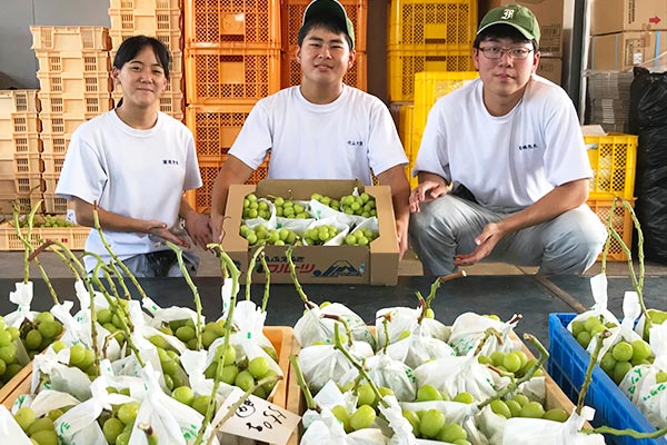 年々減少していくフルーツ農家と地域産業を守る！将来地域を牽引していく高校生を応援したい！