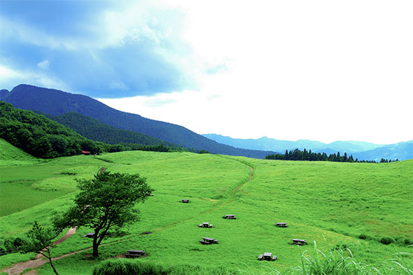 夏の曽爾高原