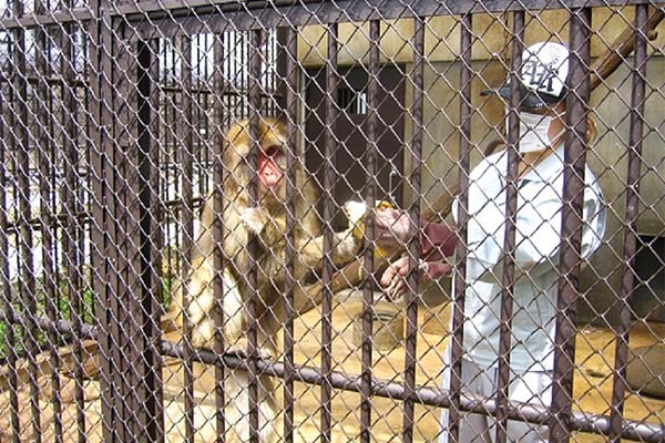 役場庁舎の隣にある、70年の歴史をもつ町の小さな動物園をリニューアルします。