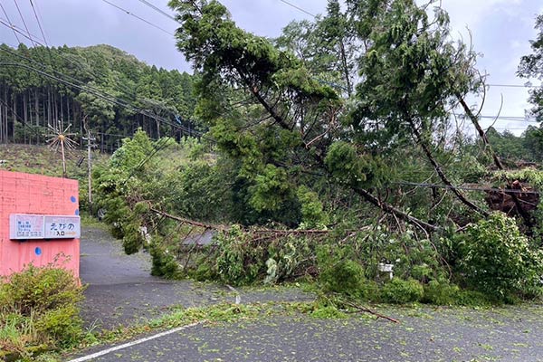 【宮崎県えびの市】令和6年8月台風・豪雨　災害支援