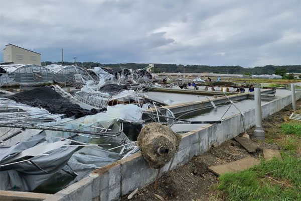 【宮崎県新富町】令和6年8月台風・豪雨　災害支援