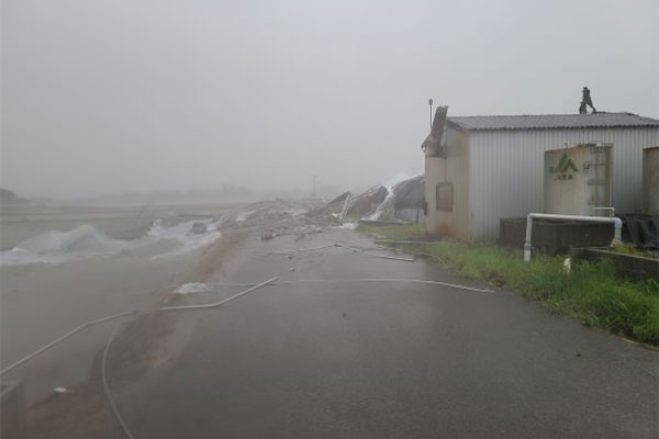 【宮崎県新富町】令和6年8月台風・豪雨　災害支援