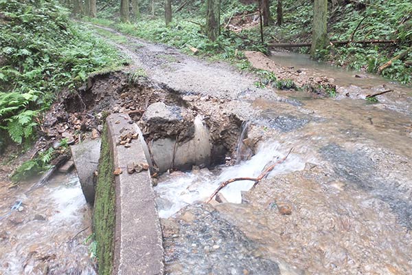 [岐阜県大垣市]令和6年8月台風・豪雨 災害支援