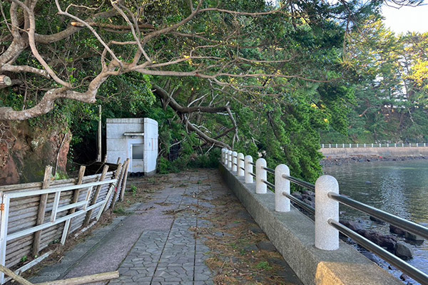 【鹿児島県阿久根市】令和6年8月台風・豪雨　災害支援