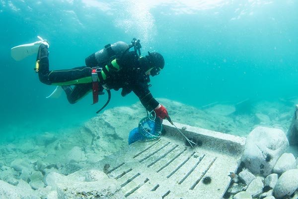 「海の森」を救おう：高水温に負けない未来の海づくり！