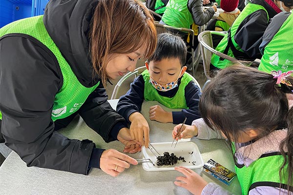 海草（アマモ）の種を選別している様子です。