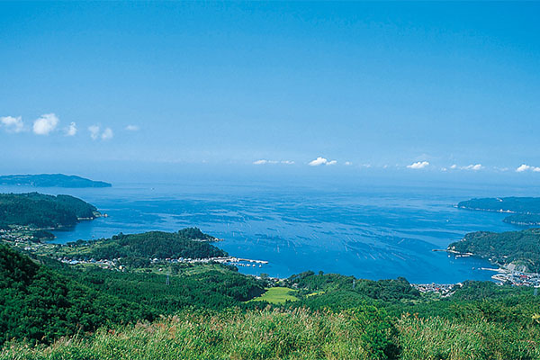 宮城県牡鹿半島の写真。海と森の距離が近く、豊かな陸の森から供給される栄養が海の森を育てます。