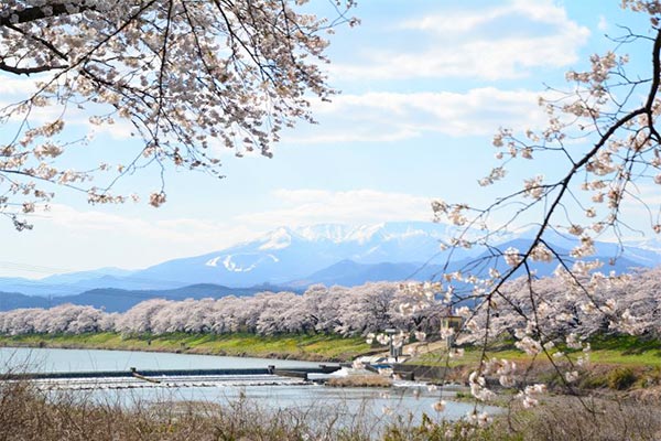 ワクワクが集まる場所、東北のシンボルを、いつでも誰でもさらに快適に！公園・球場アップグレードプロジェクト！