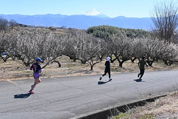 子どもから大人までみんなで走ろう！　甲斐梅の里クロスカントリー大会を応援してください。