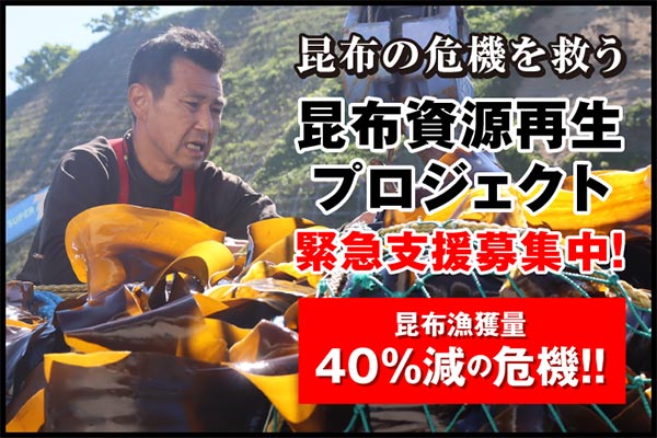 雑海藻から海を守り、日本の食文化である昆布の漁場を再生させる緊急プロジェクト