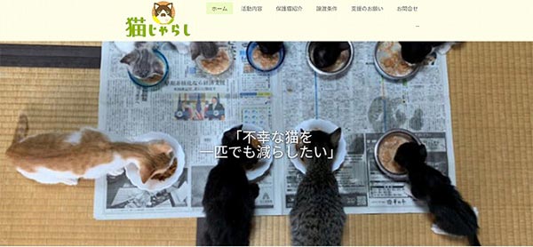 動物愛護グループ「猫じゃらし」